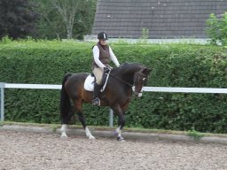 img_4623_web